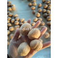 Jual Walnut Berkualitas Tinggi